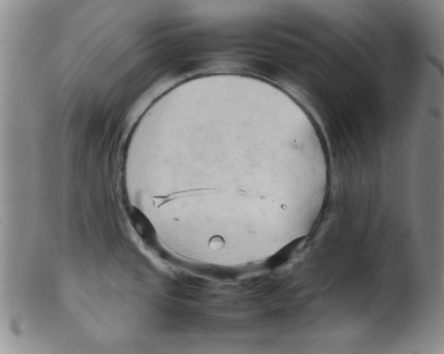 X0000098191437200805221506