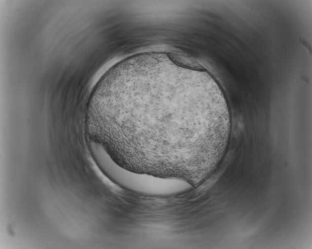 X0000098191438200805221506