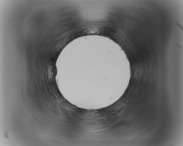X0000098191442200805221506