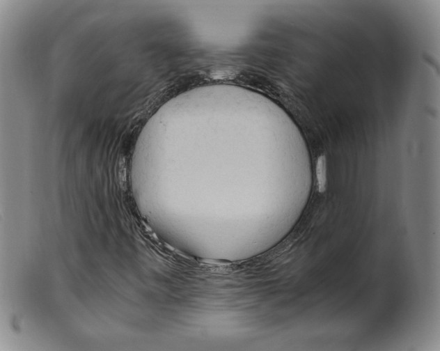 X0000098191443200805221506