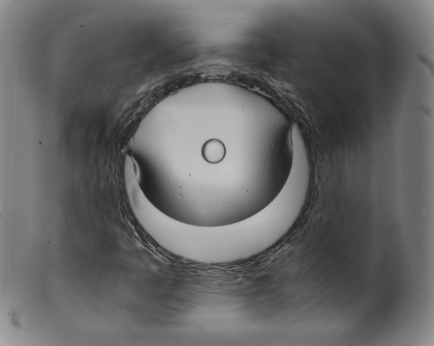 X0000098191445200805221506