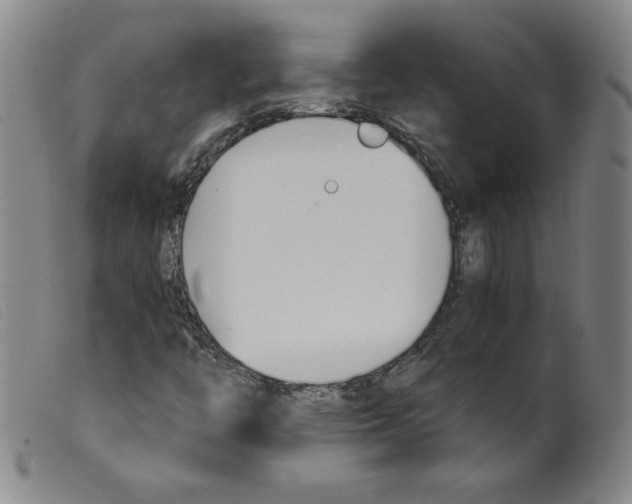 X0000098191446200805221506