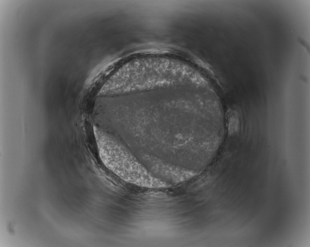 X0000098191448200805221506