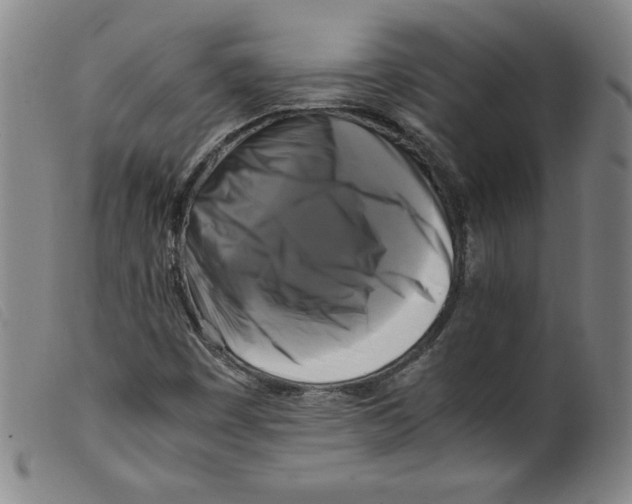 X0000098191449200805221506