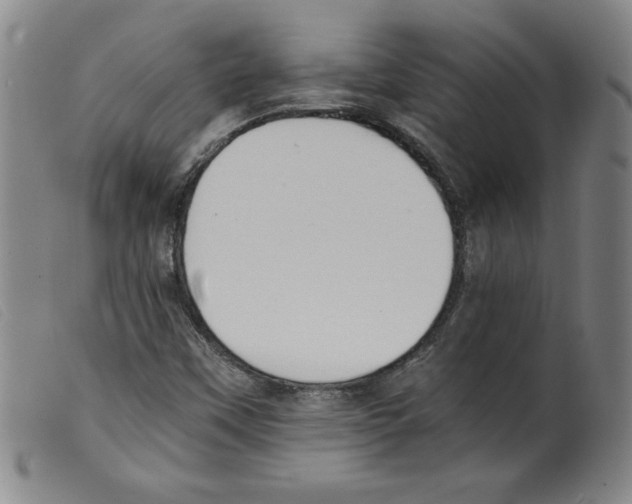 X0000098191451200805221506