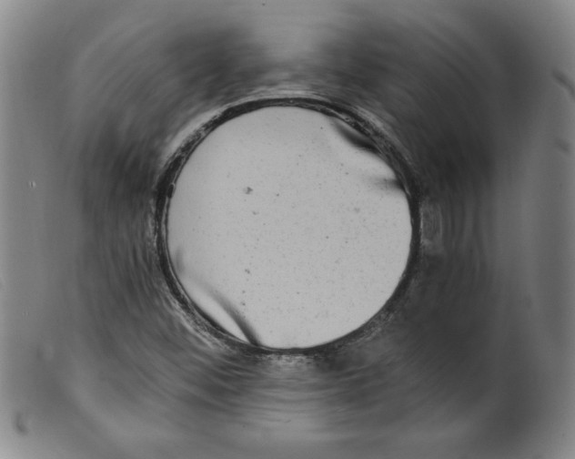 X0000098191452200805221506