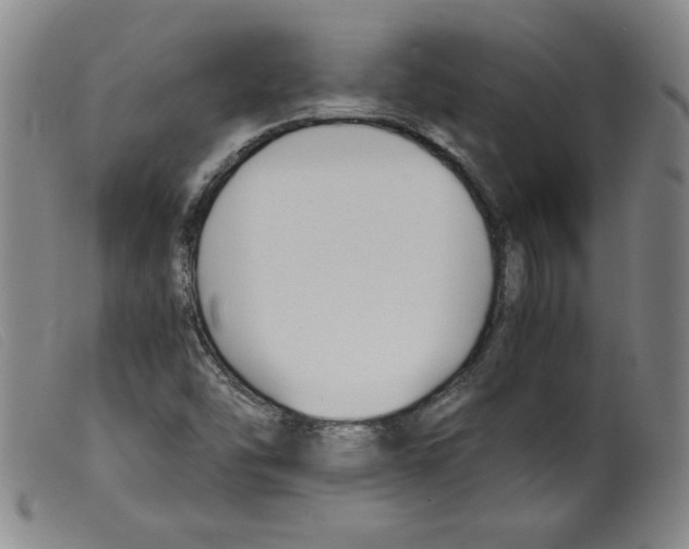 X0000098191454200805221506
