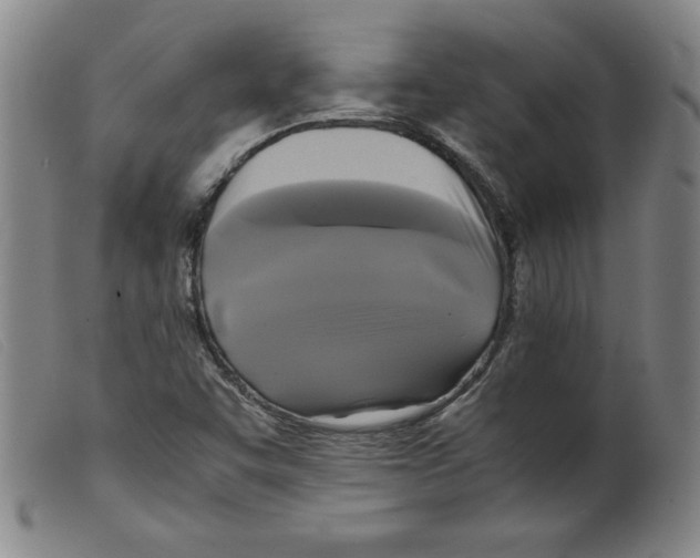 X0000098191455200805221506