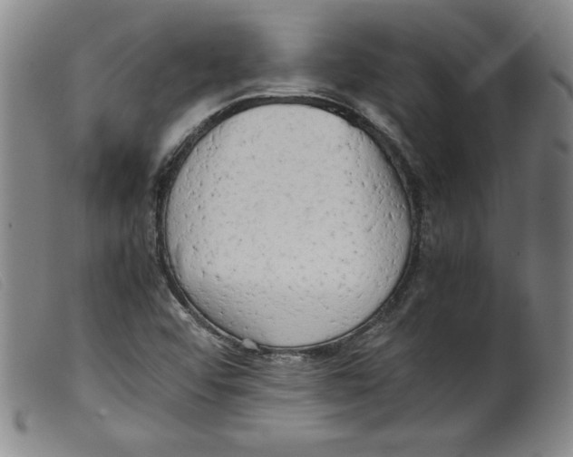 X0000098191456200805221505