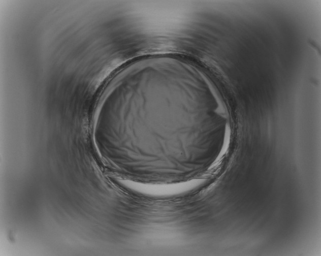 X0000098191457200805221505