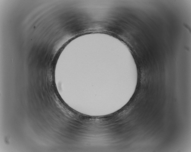 X0000098191458200805221505