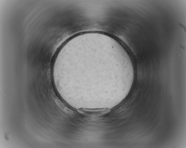 X0000098191460200805221505