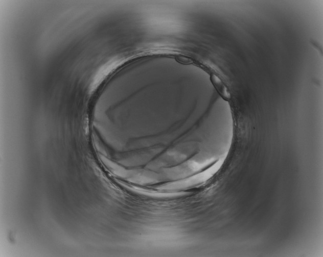 X0000098191461200805221505