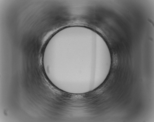X0000098191462200805221505