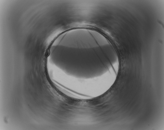 X0000098191463200805221505