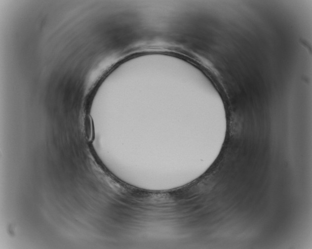 X0000098191464200805221505