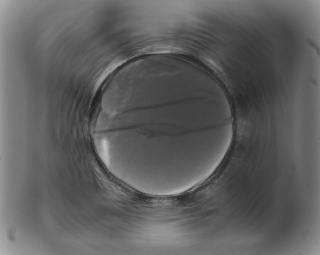 X0000098191465200805221505