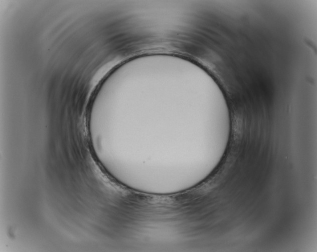 X0000098191466200805221505