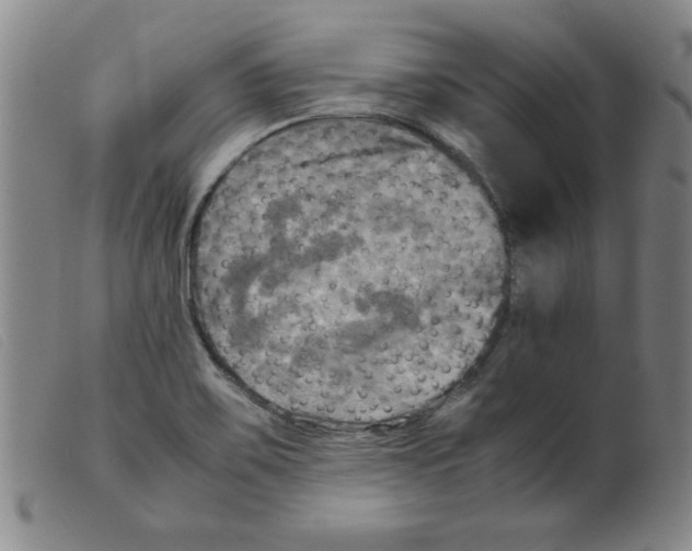 X0000098191467200805221505