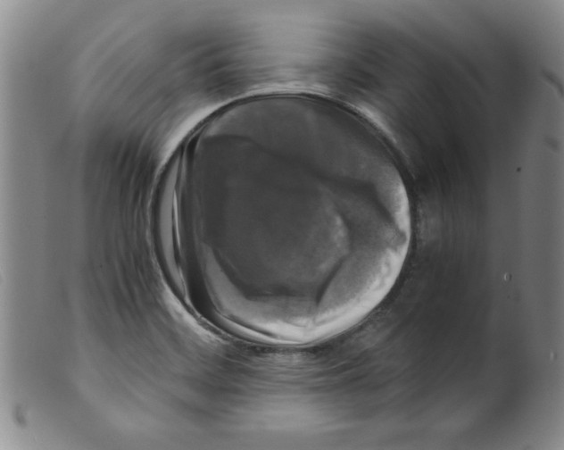 X0000098191468200805221505