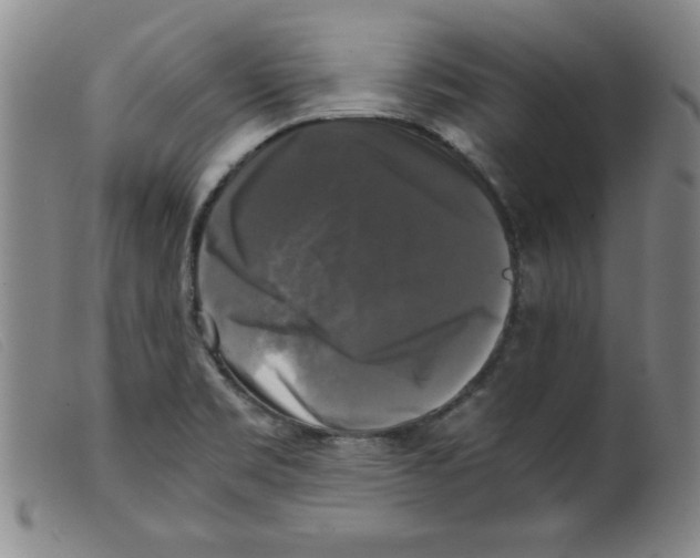 X0000098191469200805221505