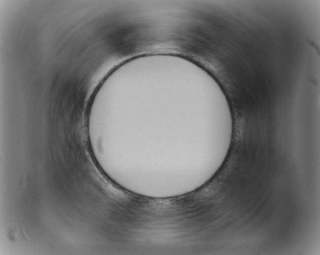 X0000098191470200805221505
