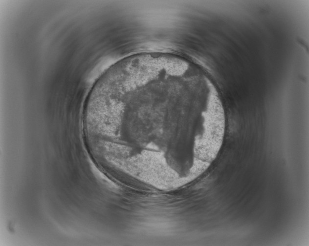 X0000098191471200805221505
