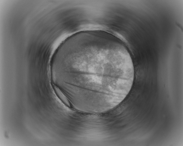 X0000098191472200805221505
