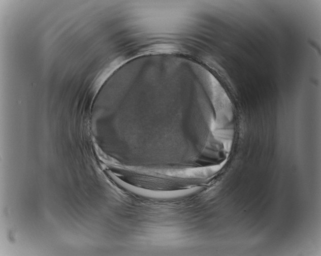 X0000098191473200805221505