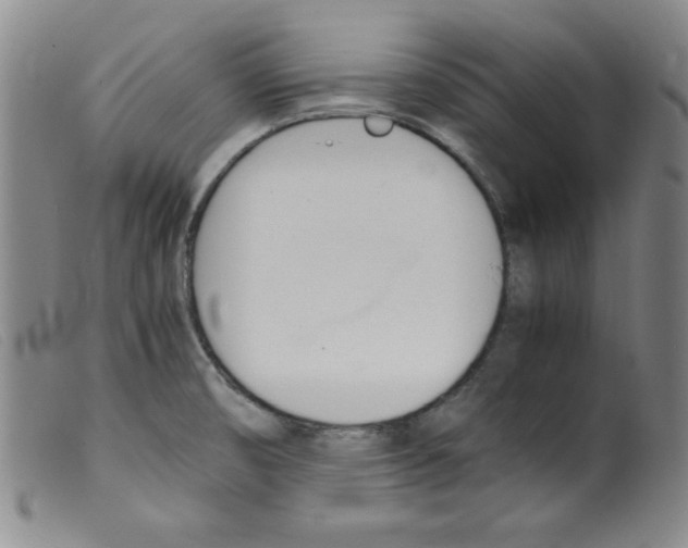 X0000098191474200805221505