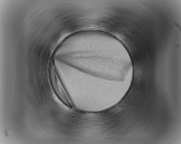 X0000098191476200805221505