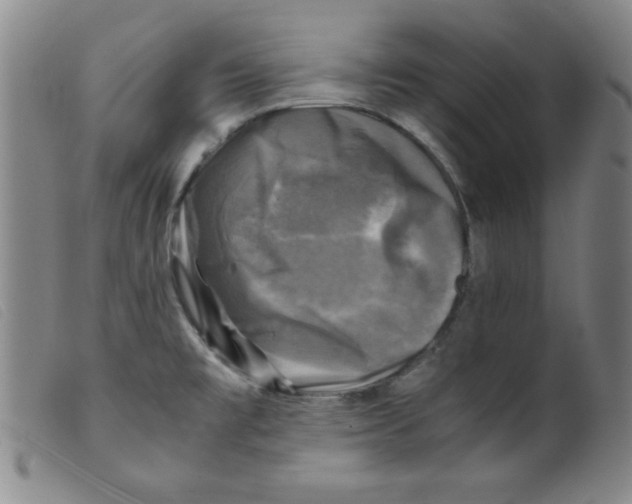 X0000098191477200805221505