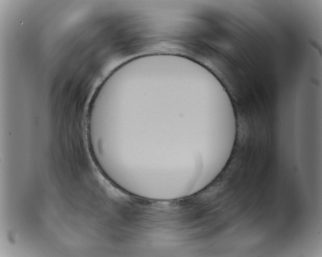 X0000098191478200805221505