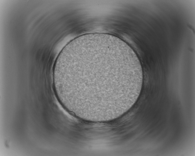 X0000098191479200805221505