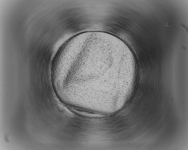 X0000098191480200805221505