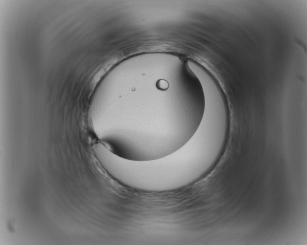 X0000098191481200805221505