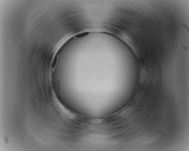 X0000098191484200805221505