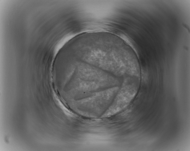 X0000098191485200805221505