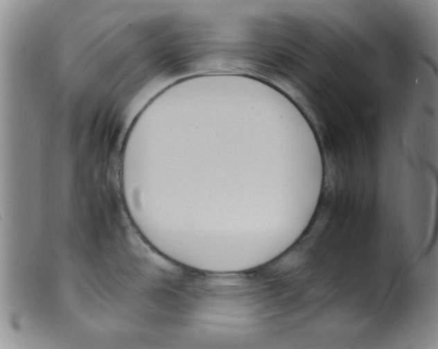 X0000098191486200805221505