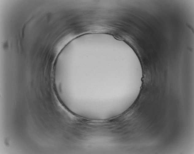 X0000098191487200805221505