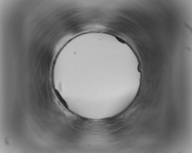 X0000098191488200805221505