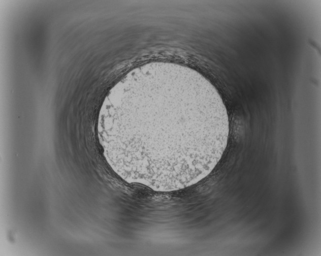 X0000098191489200805221504