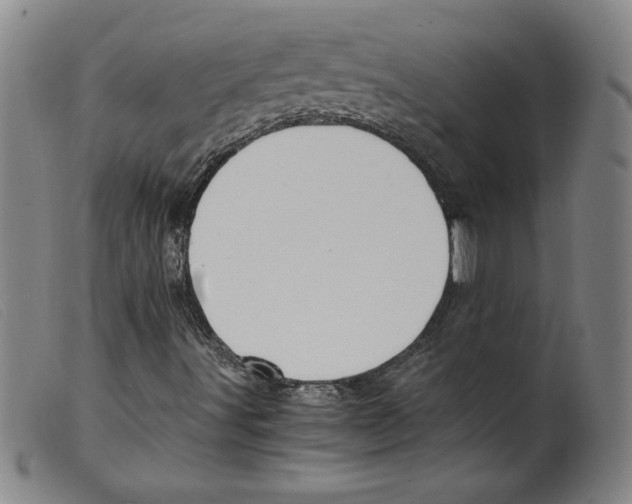 X0000098191491200805221504
