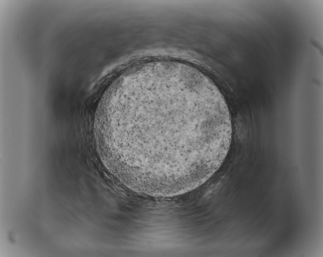 X0000098191494200805221504