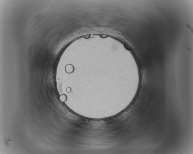 X0000098191498200805221504