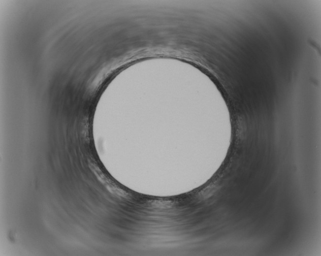 X0000098191499200805221504