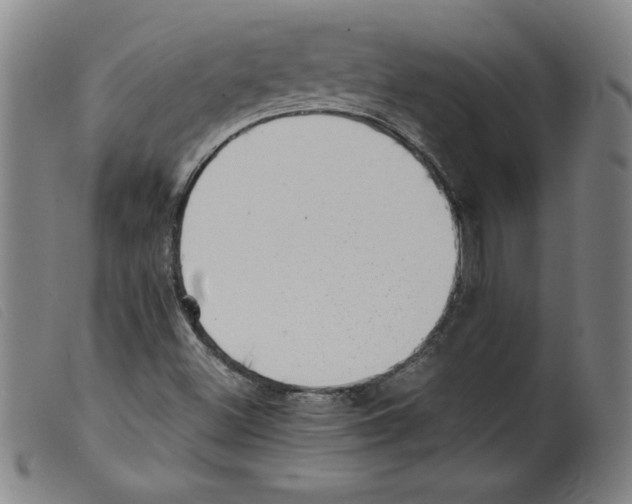 X0000098191500200805221504