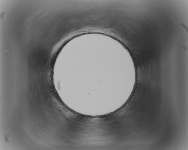 X0000098191502200805221504