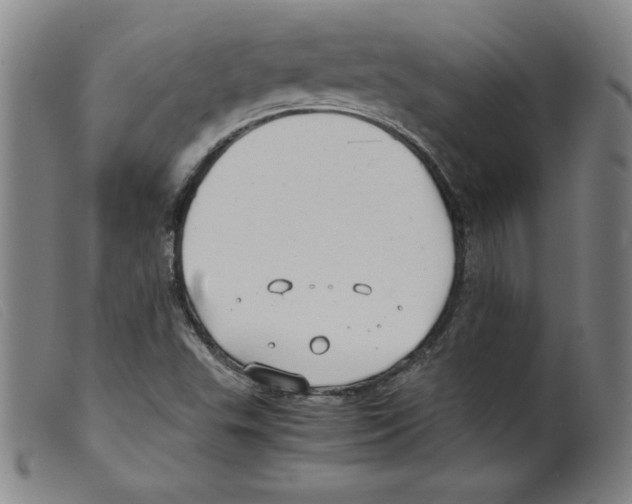 X0000098191503200805221505
