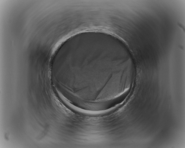 X0000098191506200805221505